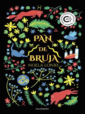 cover image of Pan de Bruja